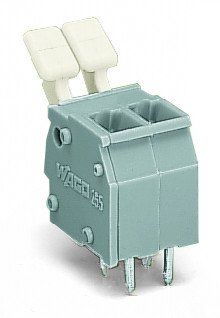 WAGO 255-402/333-000